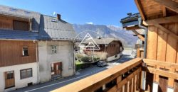 CHALET NEUF – 2 CHAMBRES ET COIN MONTAGNE – CENTRE VILLAGE LE BIOT