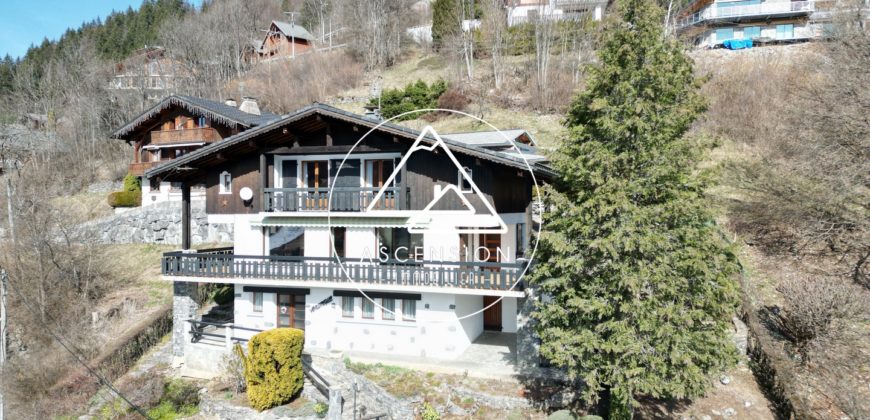 Chalet – Vue panoramique – Morzine