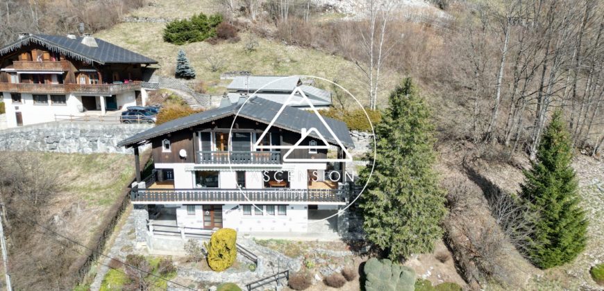 Chalet – Vue panoramique – Morzine