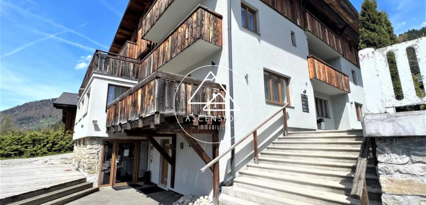 APPARTEMENT DE STANDING – 4 CHAMBRES + COIN MONTAGNE – PROCHE CENTRE MORZINE