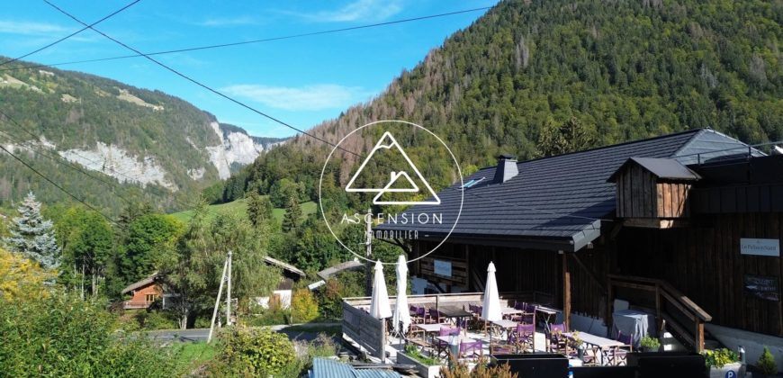 CHALET NEUF 4 CHAMBRES – MORZINE – PROCHE DEPART SKI