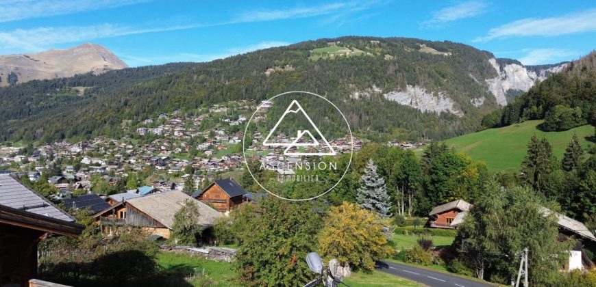 CHALET NEUF 4 CHAMBRES – MORZINE – PROCHE DEPART SKI