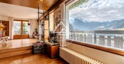 Chalet – Vue panoramique – Morzine