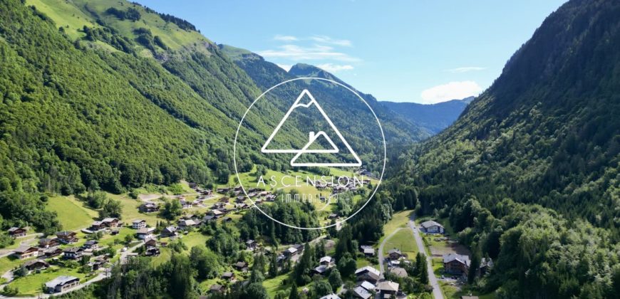 Appartement neuf – 2 Pièces et coin montagne – Montriond – Proche Morzine