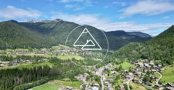 Appartement neuf – 2 Pièces et coin montagne – Montriond – Proche Morzine