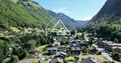 Appartement neuf – 2 Pièces et coin montagne – Montriond – Proche Morzine