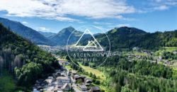 Appartement neuf – 2 chambres et coin montagne – Montriond