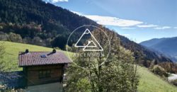 Chalet to Renovate of 3 bedrooms with Panoramic Mountain Views – Le Biot