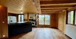 Chalet to Renovate of 3 bedrooms with Panoramic Mountain Views – Le Biot