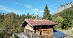 Chalet to Renovate of 3 bedrooms with Panoramic Mountain Views – Le Biot