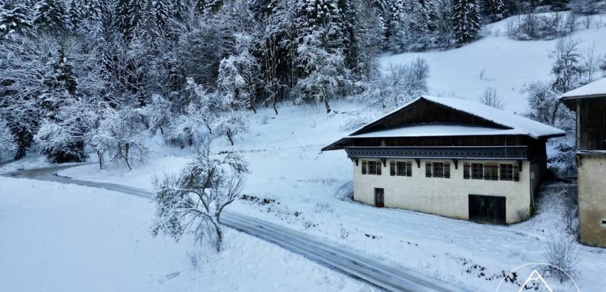 Ferme Traditionnelle à Rénover à Seytroux