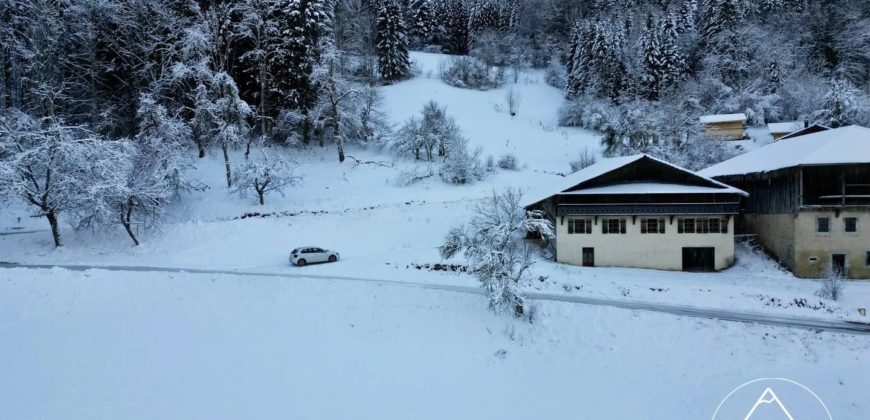 Ferme Traditionnelle à Rénover à Seytroux