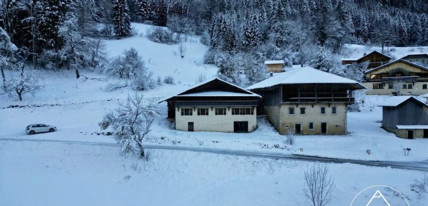 Ferme Traditionnelle à Rénover à Seytroux