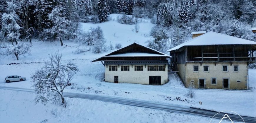 Ferme Traditionnelle à Rénover à Seytroux