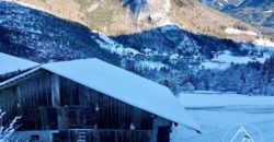 Ferme Traditionnelle à Rénover à Seytroux