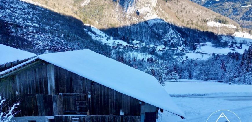 Ferme Traditionnelle à Rénover à Seytroux